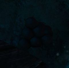 Cannonball Stash.jpg