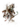 Charr 02 concept art (transparent).png