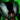 Drover Coat.png