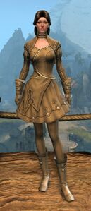 Appearance on light armor.