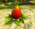Incubation Pod.jpg