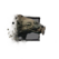 Juvenile Siamoth.png