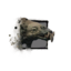 Juvenile Siamoth.png