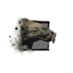 Juvenile Siamoth.png