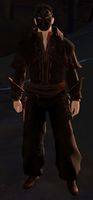 Mercenary Pistolier 2.jpg