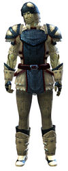 Militia armor sylvari male front.jpg