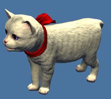 Mini White Kitten.jpg