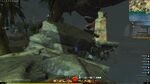 Missing Brood Location 6.jpg