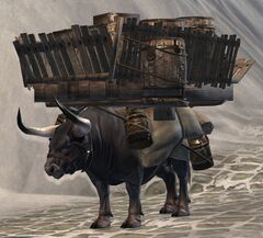Pack Bull.jpg
