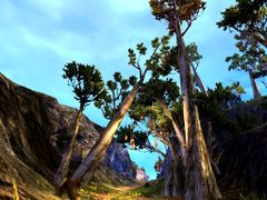 Pinion Trail.jpg