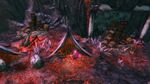 Shrine Finder Location 1.jpg