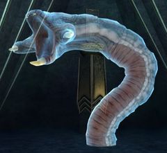 Siege Wurm Echo.jpg