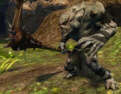 Champion Ettin.jpg