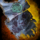 Elonian Standard (trophy).png