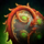 Flame Serpent Shield.png