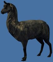 Mini Silver Llama.jpg
