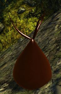 Ooze.jpg
