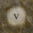 RN5.png