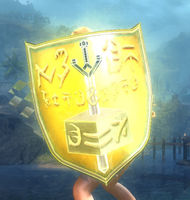 Storm Wizard's Shield Skin wielded.jpg