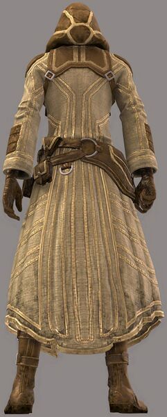 File:Traveler's Outfit human male back.jpg