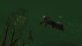 2010 August grenth submerged.jpg