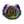 Blood and Madness.png