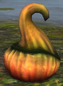 Brackwater Supplies.jpg