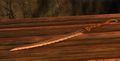 Thumbnail for version as of 03:09, 15 May 2017