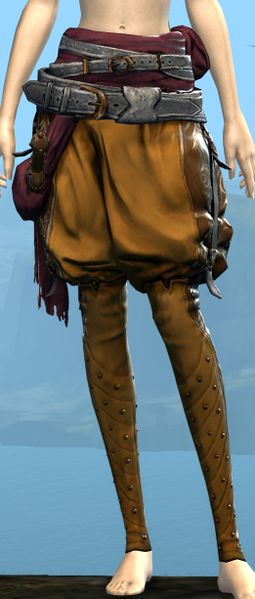 File:Heavy Corsair Leggings.jpg