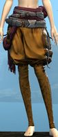 Heavy Corsair Leggings.jpg