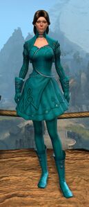 Appearance on light armor.
