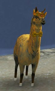 Lost Lavish Gold Llama.jpg