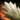 Mordrem Thrasher Fang.png