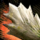 Mordrem Thrasher Fang.png