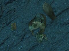 Pine's Remains.jpg