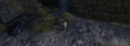 Thumbnail for version as of 08:12, 11 October 2020