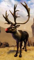 Reindeer Form.jpg