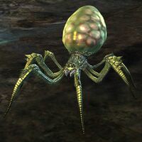 Risen Spider.jpg