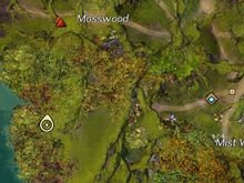 Skyscale Egg 20 map.jpg