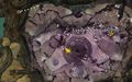 Thumbnail for version as of 19:15, 2 August 2017