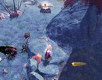 Well Versed 1 location.jpg