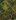 Artergon Woods map.jpg