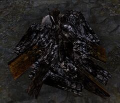 Campfire (hero challenge).jpg