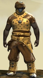 Corsair armor (medium) norn male front.jpg