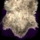 Frayed Pelt.png