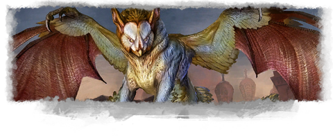 Griffon banner.png
