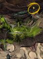 Fourth location.  Vine Bridge Waypoint — ￼START_WIDGET"'-57faeffa64ff3eebEND_WIDGET