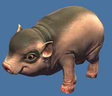 Mini Piglet.jpg