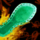 Oiled Gossamer Shoe Sole.png