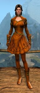 Appearance on light armor.